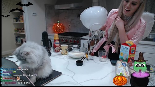 El gato de QTCinderella, Ders, en su transmisi&oacute;n en vivo