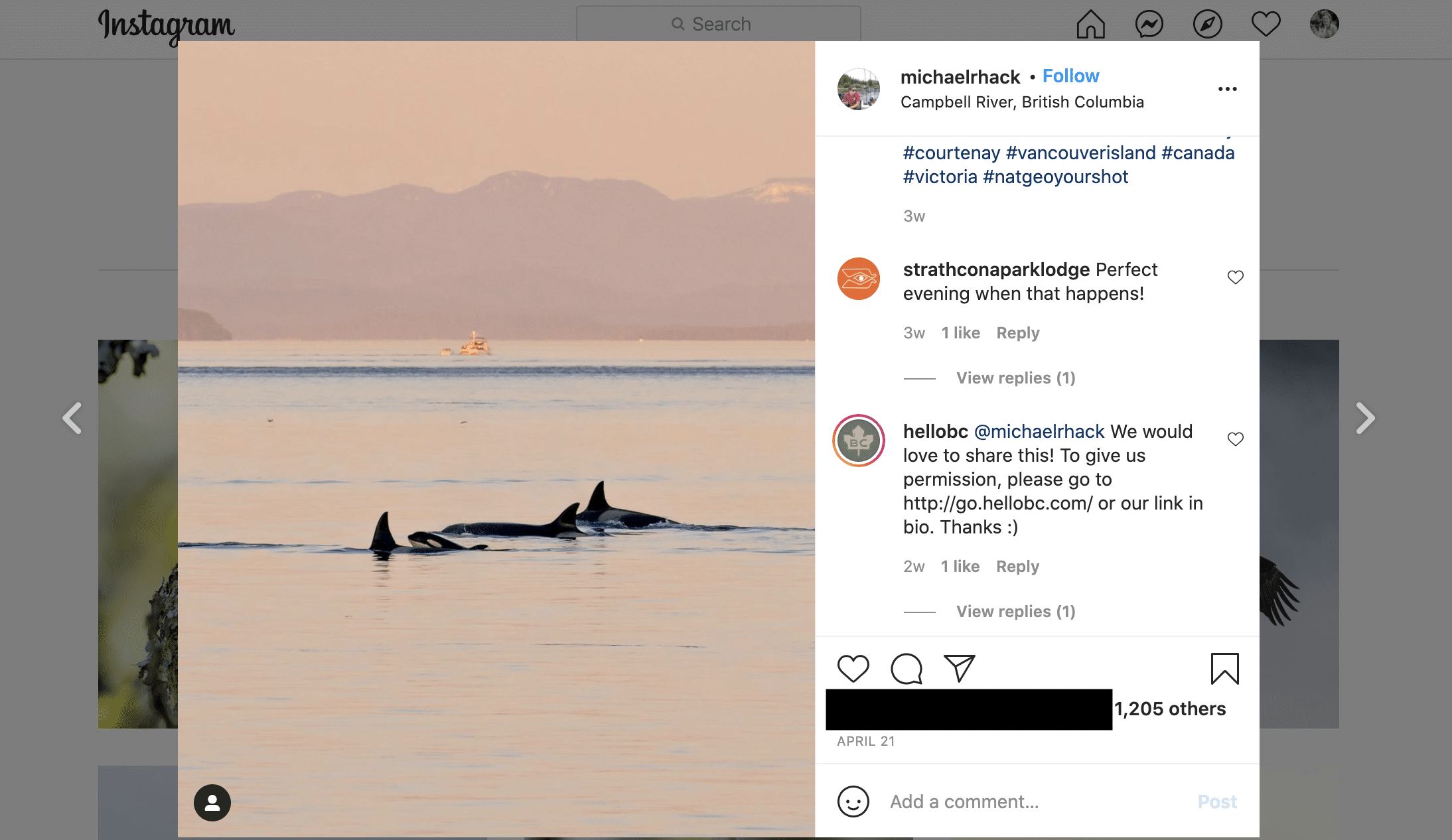 Venta social: qué es, por qué debería importarle y cómo hacerlo bien Destino BC comentario de Instagram