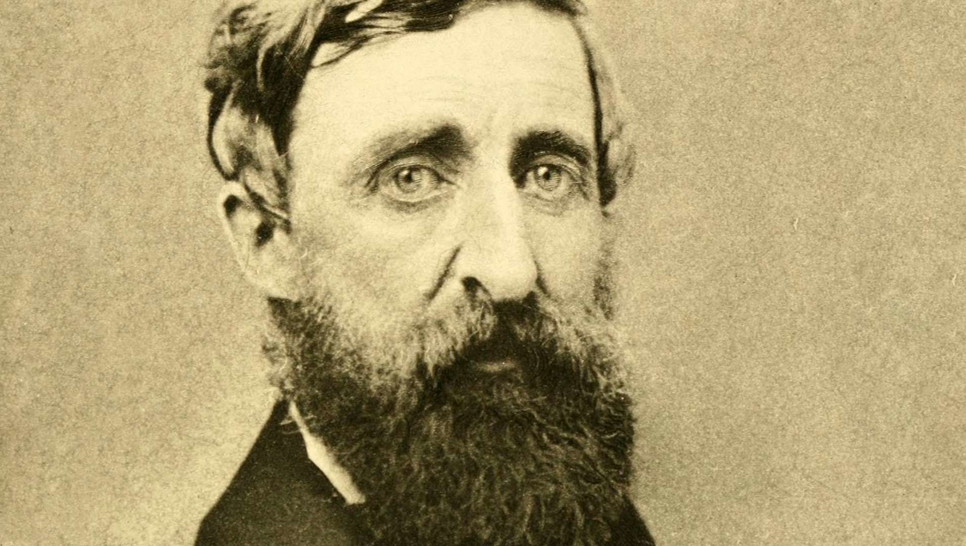 11 hechos sobre Henry David Thoreau