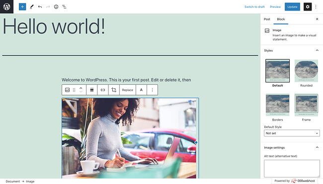 Agregue texto alternativo en la secci&oacute;n Configuraci&oacute;n de imagen de la pesta&ntilde;a Bloquear en la barra lateral de su panel de WordPress