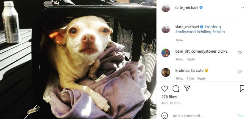 James Tyler hablando de su perro en una publicaci&oacute;n de Instagram