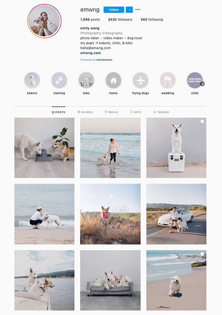 Ejemplo minimalista de tema de Instagram