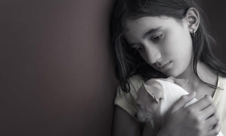 Frases de pérdida de mascotas para superar este momento emocional