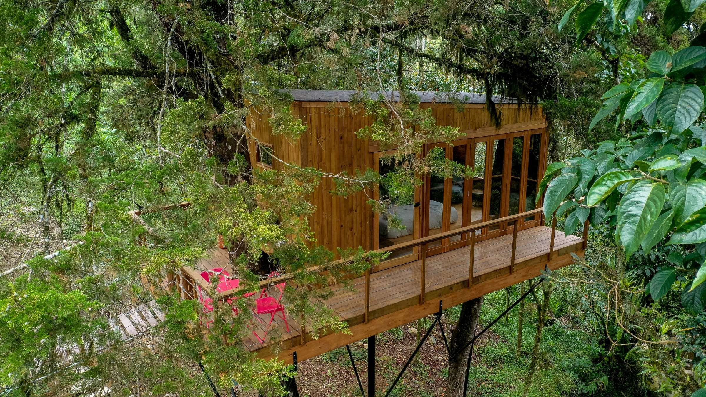 11 encantadoras casas en el árbol que puedes alquilar