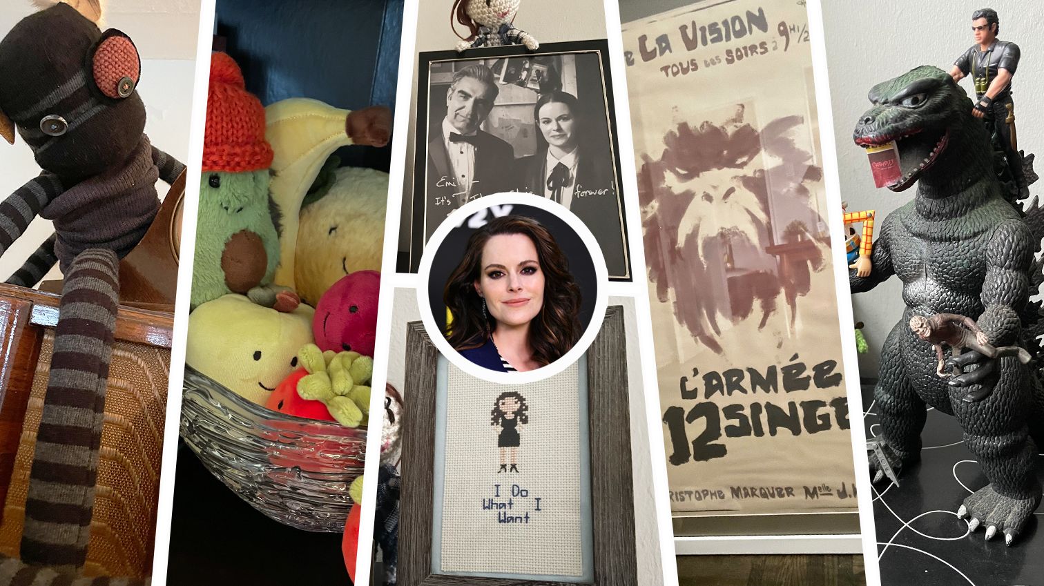 5 artículos impresionantes en los estantes de Emily Hampshire