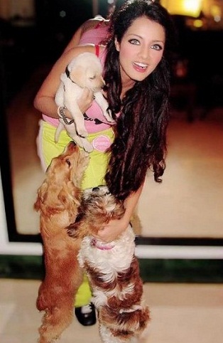 Celina Jaitly jugando con perros