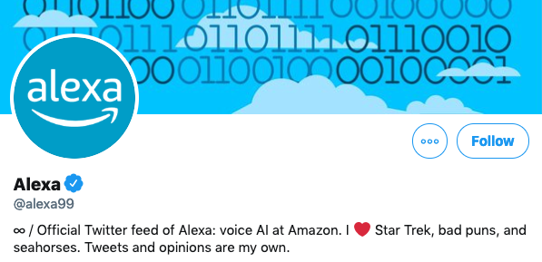 Ejemplo divertido de biograf&iacute;a de twitter de amazon @ Alexa99