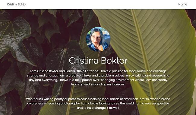 Los 9 mejores sitios web de portafolios gratuitos para crear un portafolio digital impresionante portafolio en línea: portafolio de journo