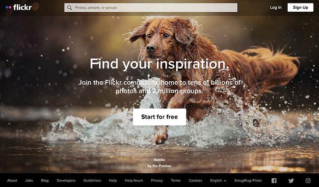 Los 9 mejores sitios web de portafolios gratuitos para crear un portafolio digital impresionante portafolio en línea: portafolio de Flickr