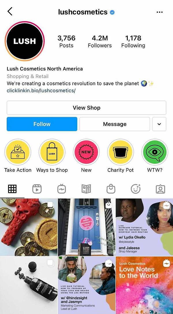 exuberante perfil de instagram ejemplo de marketing de contenido en redes sociales en instagram