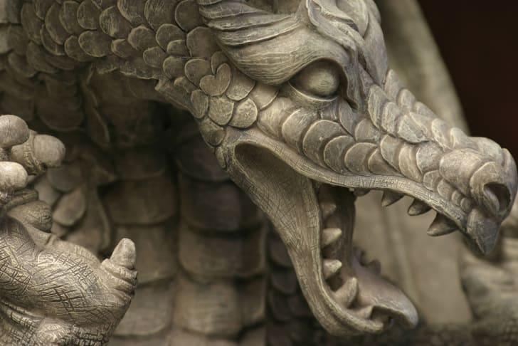 Un drag&oacute;n de piedra