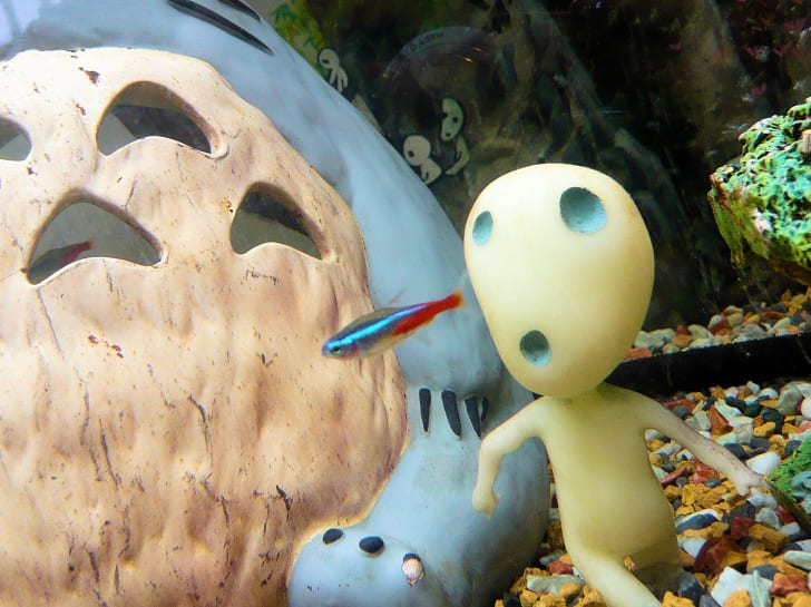 un juguete Kodama