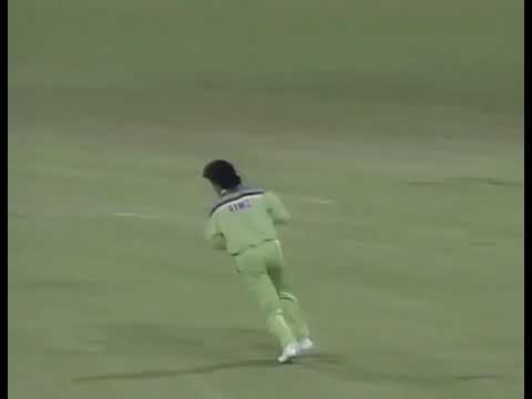 Ramiz Raja se lleva la &uacute;ltima atrapada del Mundial de 1992