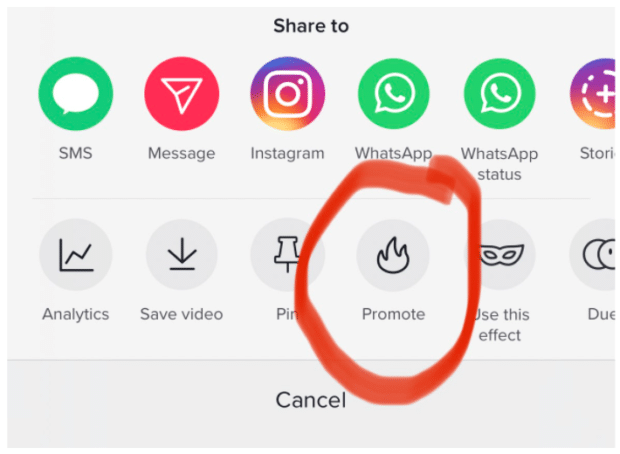Promocionar herramienta en TikTok