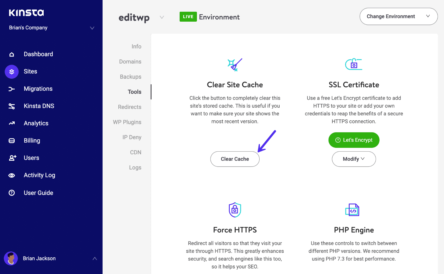 Limpiar la cach&eacute; de WordPress en el panel de MyKinsta