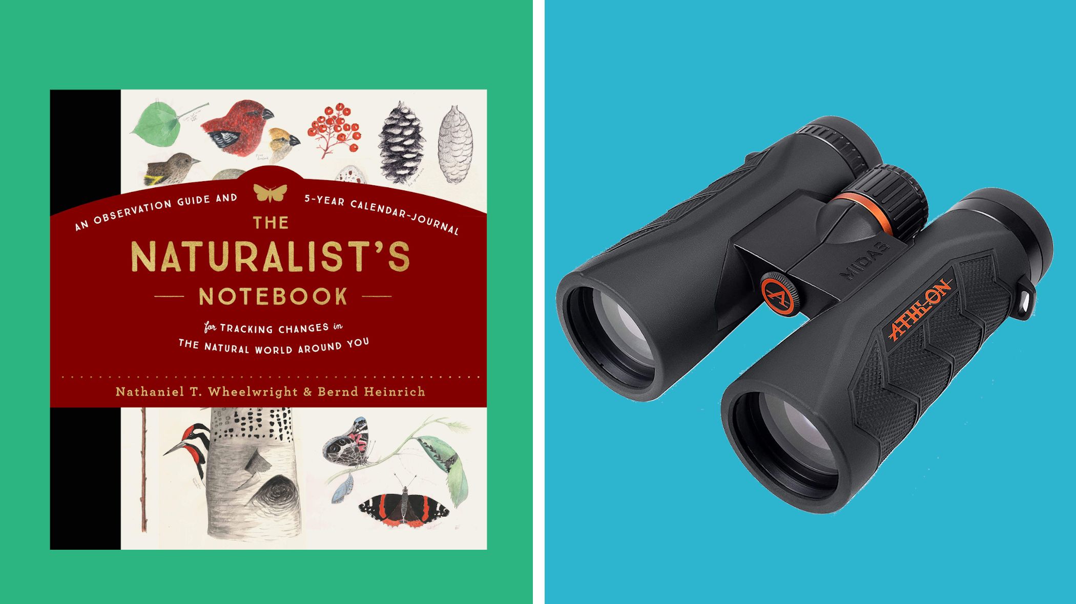 15 regalos divertidos para un naturalista aficionado
