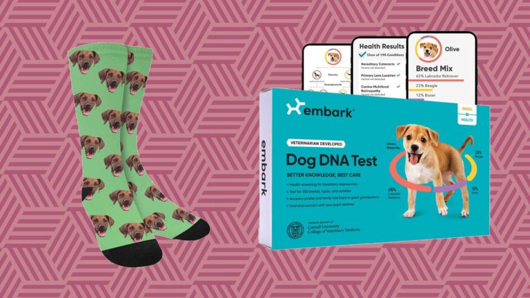 15 regalos para padres de mascotas