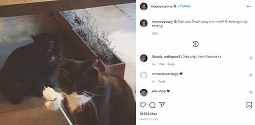 Jung Ho-yeon hablando sobre sus gatos en una publicaci&oacute;n de Instagram