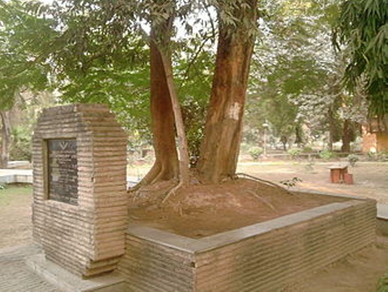 El &aacute;rbol en Alfred Park en Allahabad donde muri&oacute; Chandra Shekhar Azad