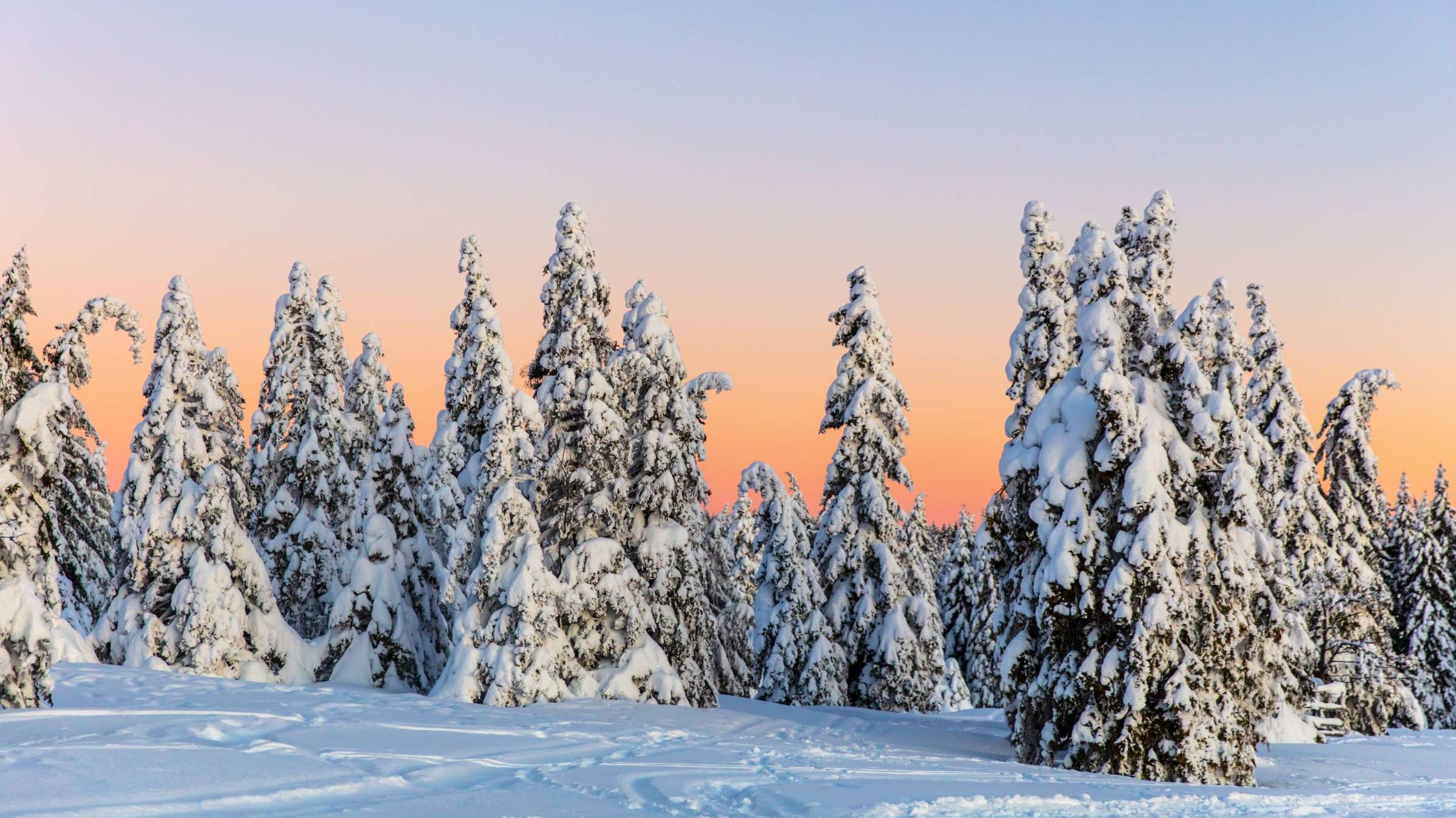 ¿Cuántas palabras realmente tienen los "esquimales" para referirse a la nieve?