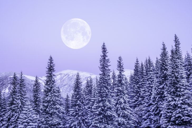 Luna llena sobre un bosque de pinos de invierno
