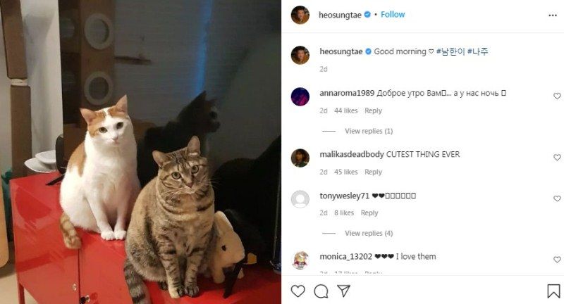 Heo Sung-tae hablando sobre sus gatos, Namhan y Naju, en una publicaci&oacute;n de Instagram