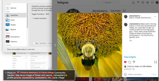 texto alternativo generado autom&aacute;ticamente para la foto de una abeja y una flor