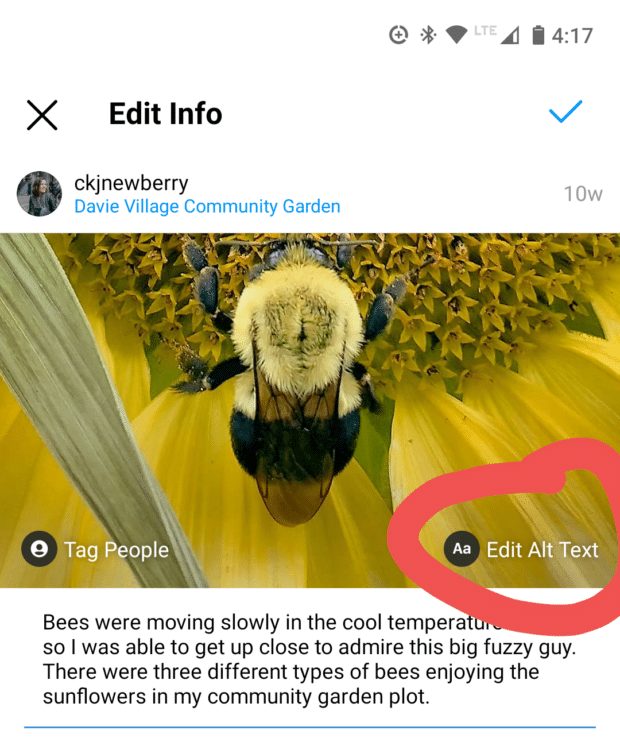 editar texto alternativo en una foto existente