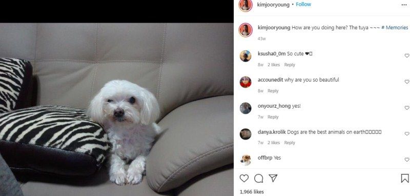 Kim Joo-ryeong hablando sobre su mascota en una publicación de Instagram