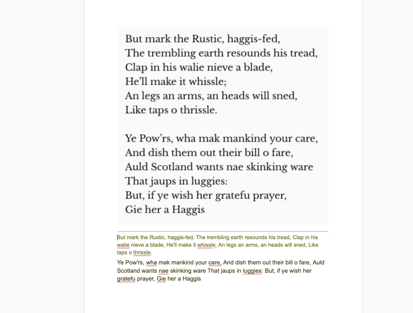Una captura de pantalla de la imagen en Google Docs, con el texto debajo.