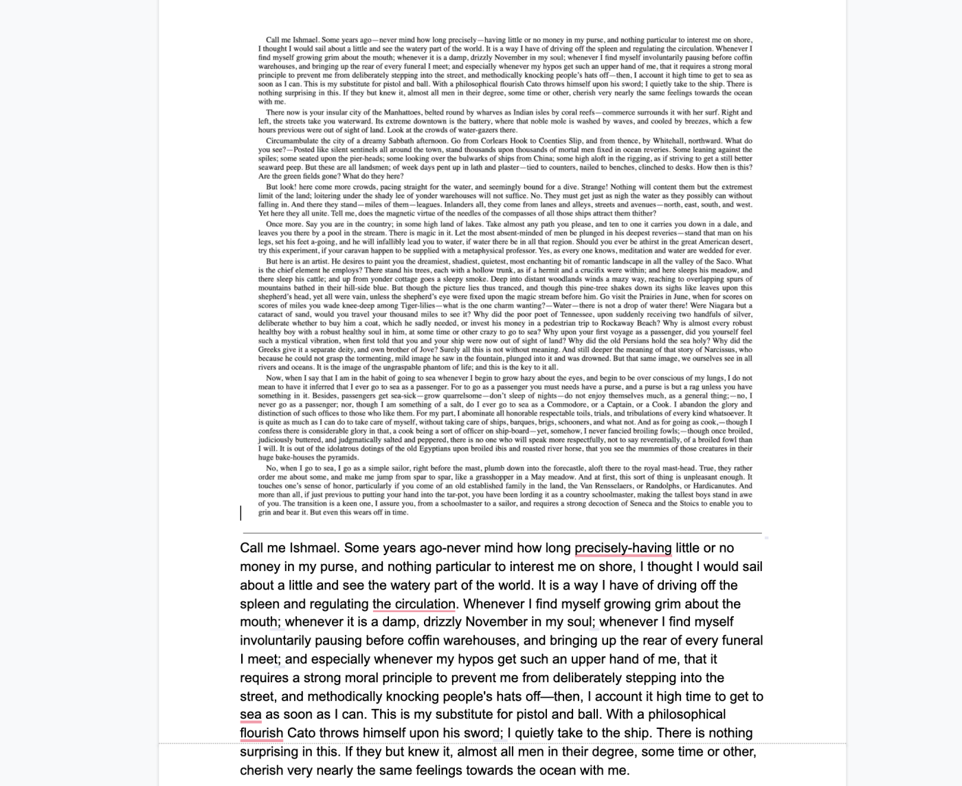 Una captura de pantalla de una imagen en Google Docs, con el texto debajo, esta vez usando prosa