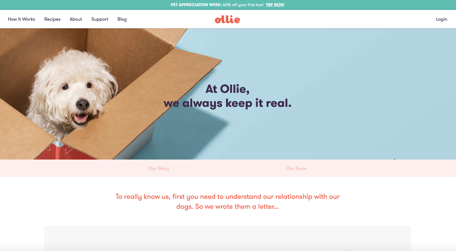 30 ejemplos de páginas Stellar Acerca de nosotros para inspirarte Ollie presenta una imagen heroica de su enfoque principal: las mascotas.