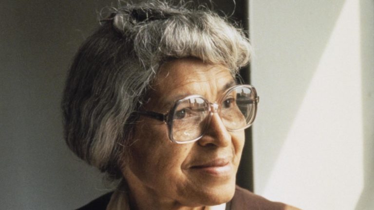 El 1 de diciembre de 1955, un conductor de autobús hizo arrestar a Rosa Parks.  No fue su primer encuentro.