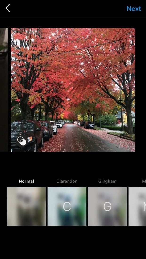 Edici&oacute;n de fotos individuales de Instagram en un carrusel (hojas de oto&ntilde;o)