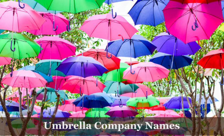 Más de 250 ideas pegadizas de nombres de empresas de paraguas para elegir