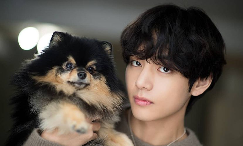 🥇Wiki de Yeontan, edad, propietario, fotos, videos, biografía y más