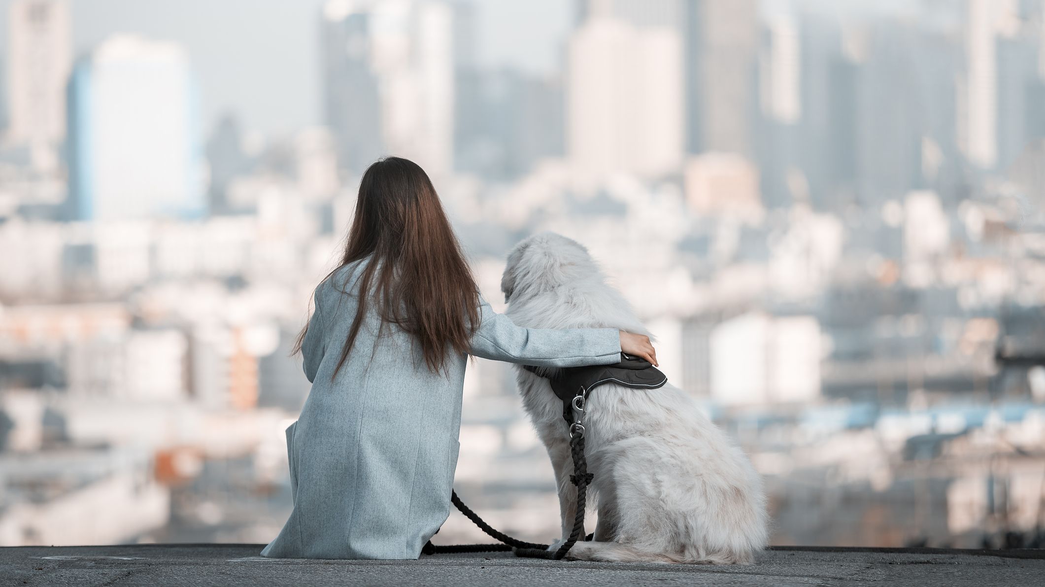 Las 10 mejores ciudades del mundo para los amantes de los perros