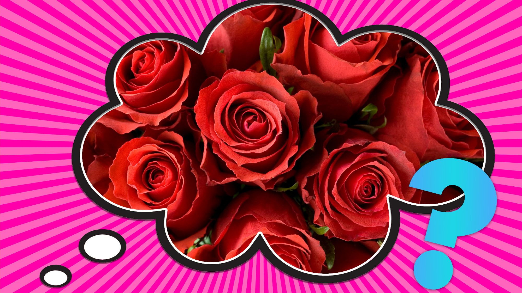 ¿Por qué regalamos rosas rojas en San Valentín?