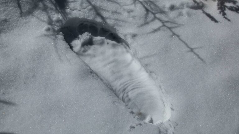 15 hechos misteriosos sobre los yetis
